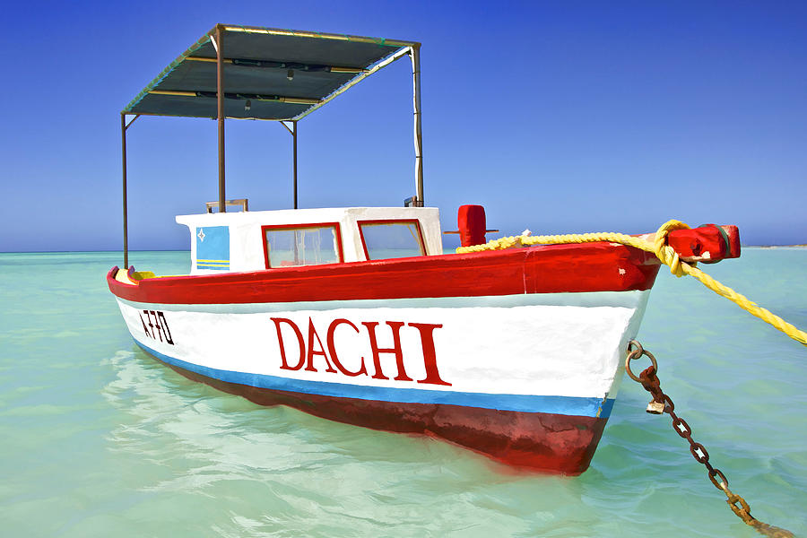 Colorful Fishing Boat of the Caribbean  Photograph by David Letts