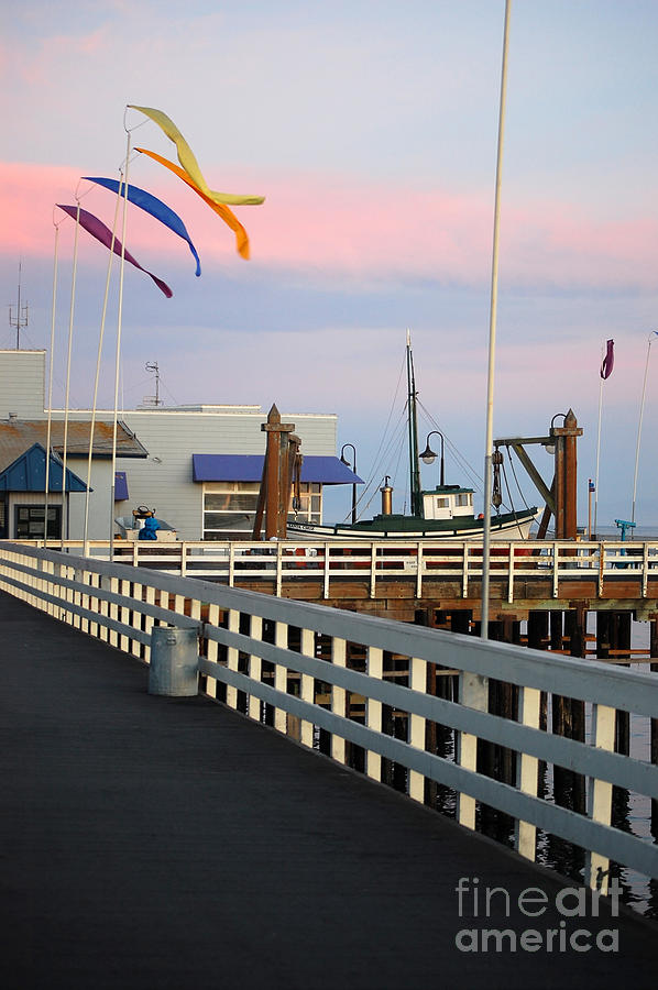 Colorful Flags And Wharf Photograph by Debra Thompson