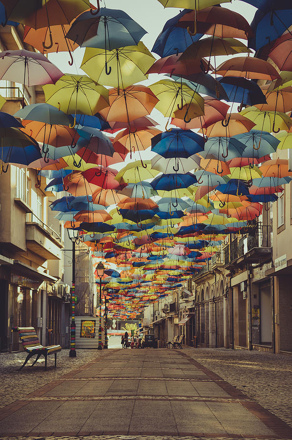 Colorful Floating Umbrellas II Photograph by Marco Oliveira