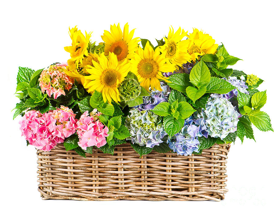Colorful Flowers in Basket Photograph by Boon Mee