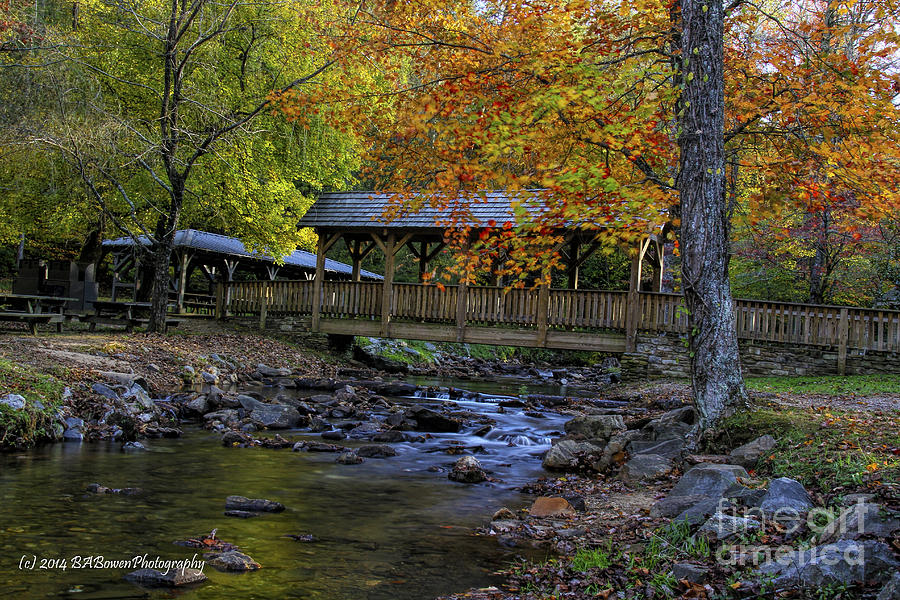 Colorful Footbridge Crossing Photograph