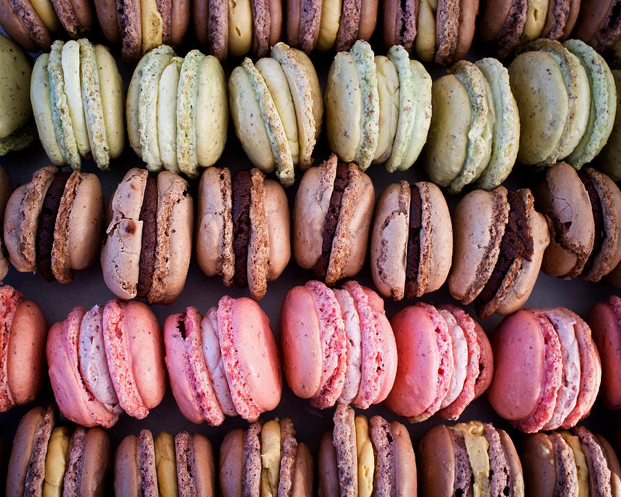 Macarons Photograph - Colorful French Macarons by Tanya Harrison