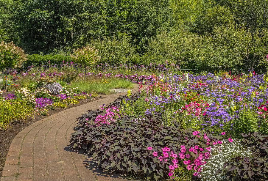 Colorful garden Photograph by Jane Luxton