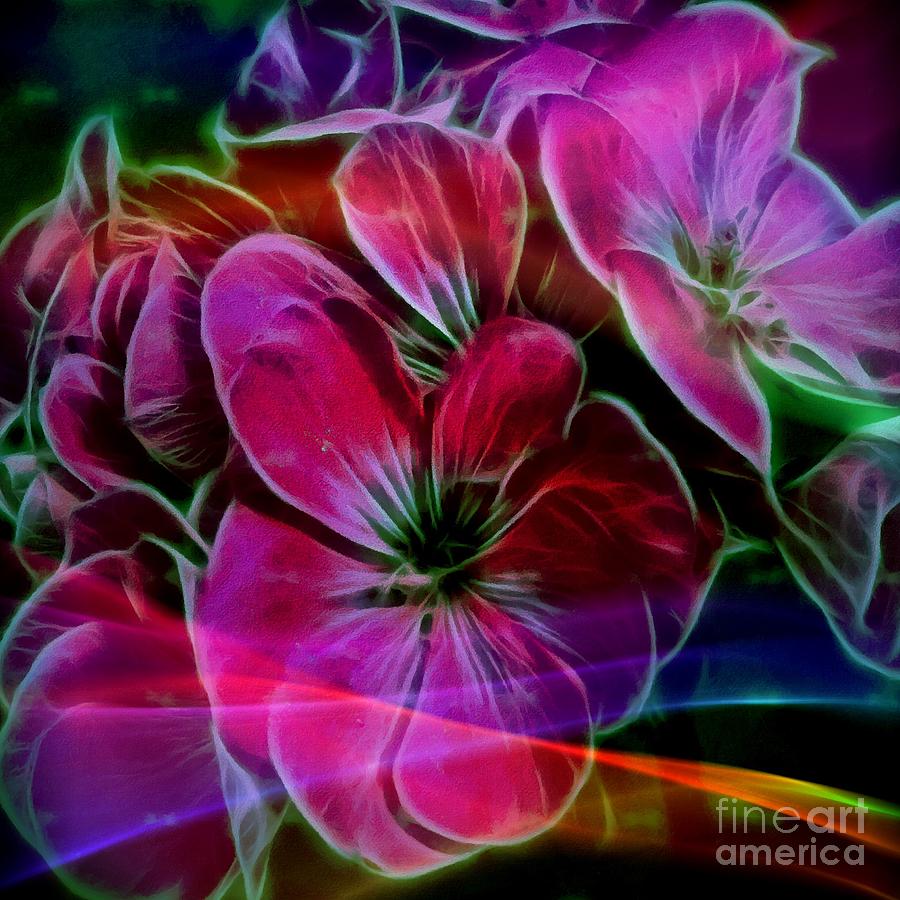 Flowers Still Life Photograph - Colorful Glowing Geranium  by Barbara A Griffin