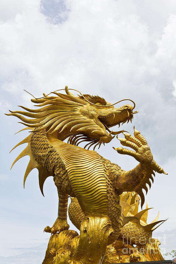 Colorful golden dragon statue Photograph by Tosporn Preede