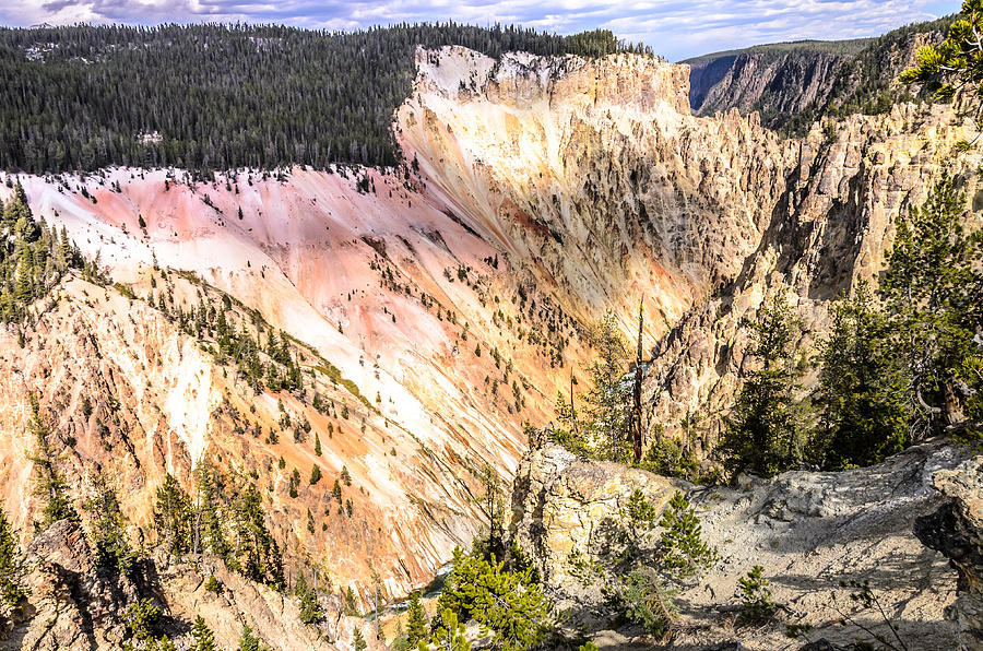 Colorful Grand Canyon of Yellowstone Photograph by Debra Martz