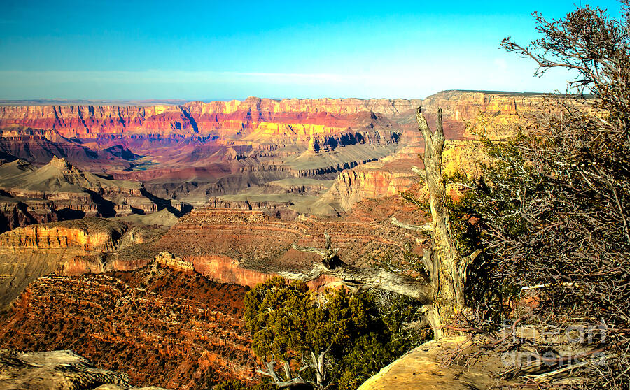Colorful Grand Canyon Photograph by Robert Bales