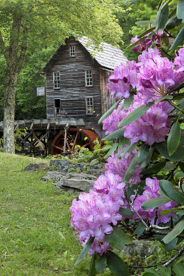 Colorful Grist Mill Photograph by Robert Camp