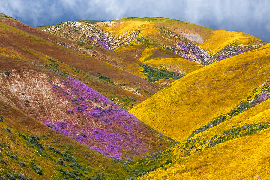 Colorful Hills Photograph by Marc Crumpler