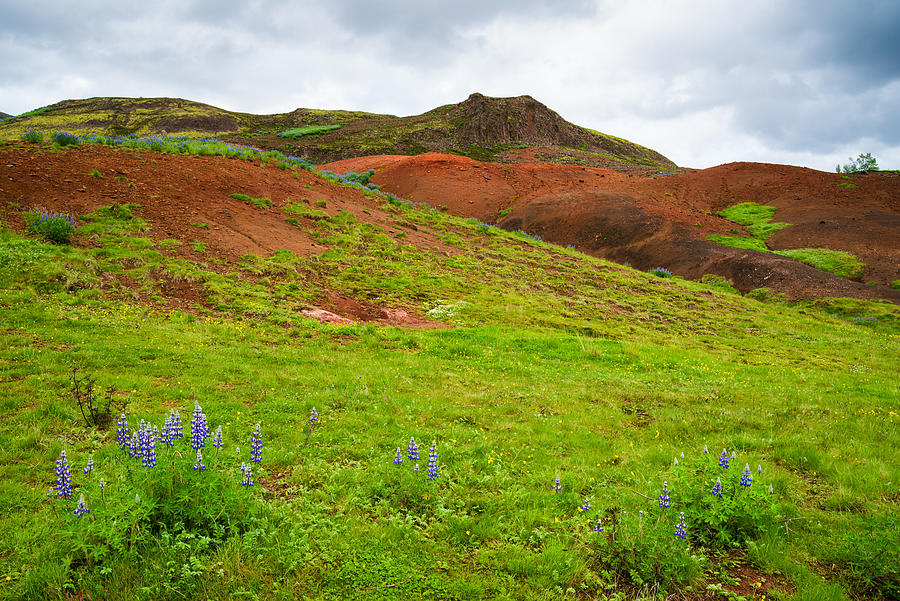 Colorful Iceland landscape with green orange brown tones Photograph by Matthias Hauser