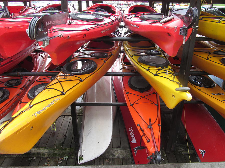 Colorful Kayaks Photograph by Alfred Ng