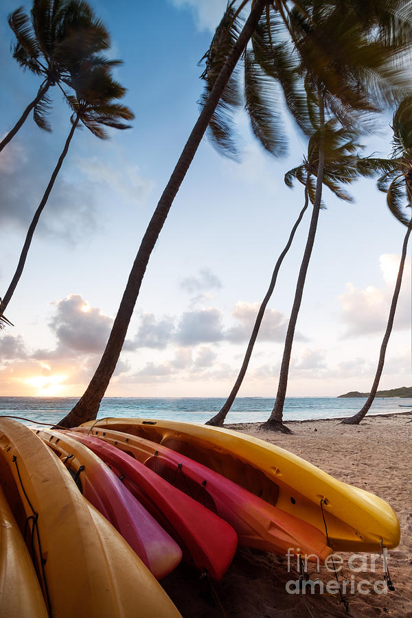 Colorful kayaks on beach in the Caribbean Photograph by Matteo Colombo