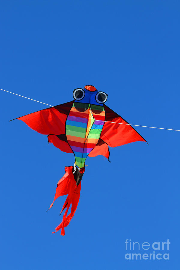 Colorful Kite That Flies High In The Sky Blue Photograph