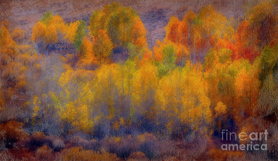 Fall Digital Art - Colorful Landscape by Irina Hays