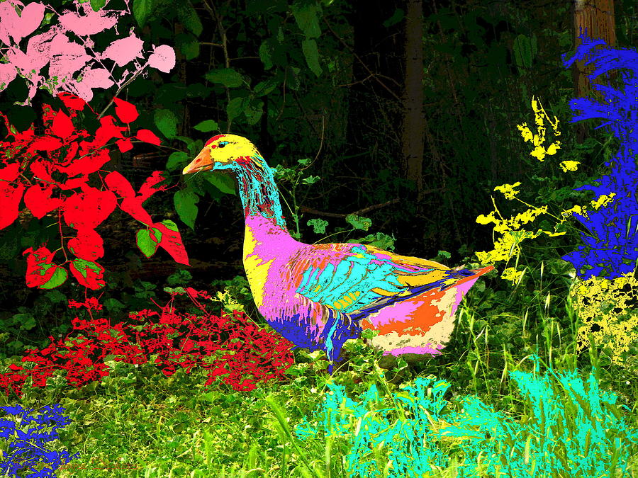 Colorful Lucy Goosey Photograph by Joyce Dickens