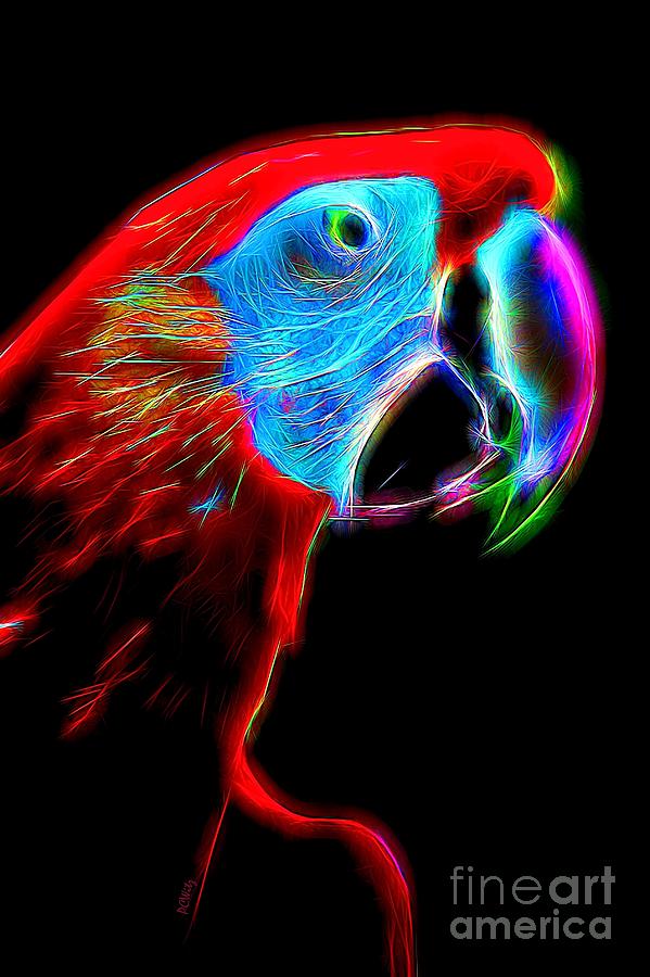 Colorful Macaw Photograph by Patrick Witz