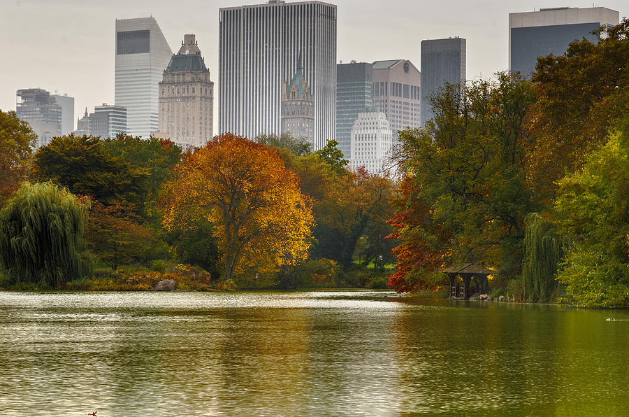 New York City Skyline Photograph - Colorful magic in Central Park New York City Skyline by Silvio Ligutti