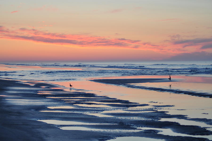 Beach Photograph - Colorful Morning by Bill Cannon