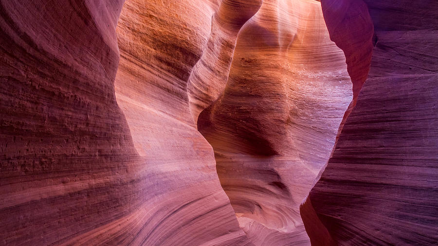 Colorful Navajo Sandstone Walls Photograph by Pierre Leclerc Photography