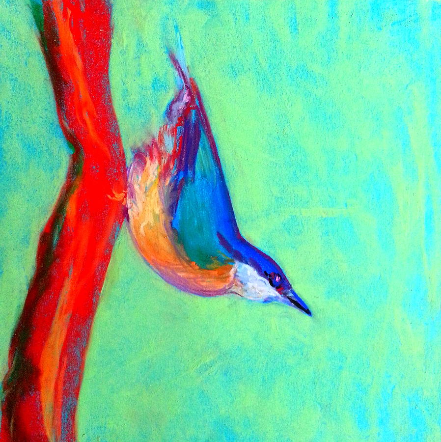 Colorful Nuthatch Bird Painting by Sue Jacobi