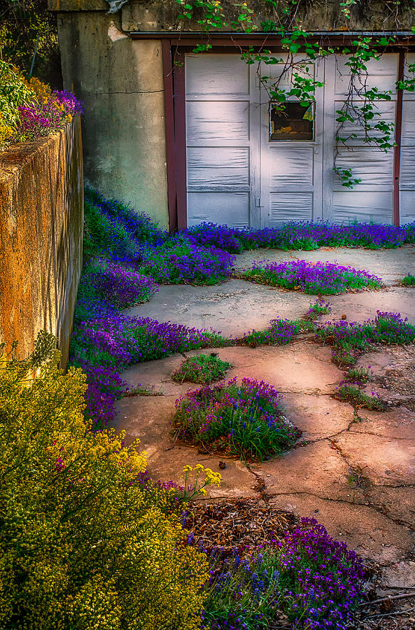 Flower Photograph - Colorful Old Garage by Michael Ash