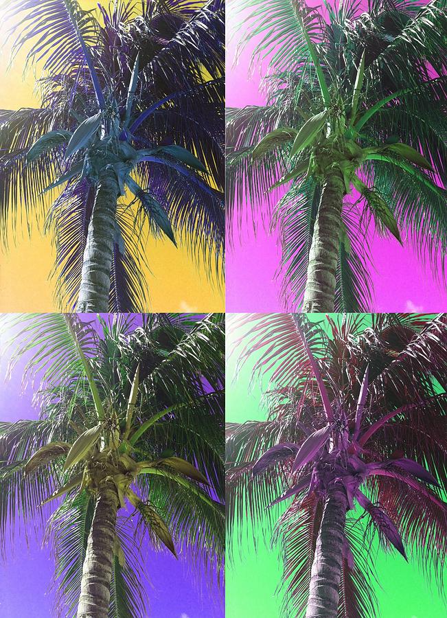 Beach Photograph - Colorful Palm Trees Photograph by Michelle Eshleman