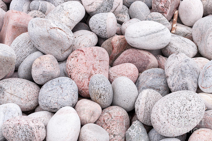 Colorful pebbles Photograph by Les Palenik