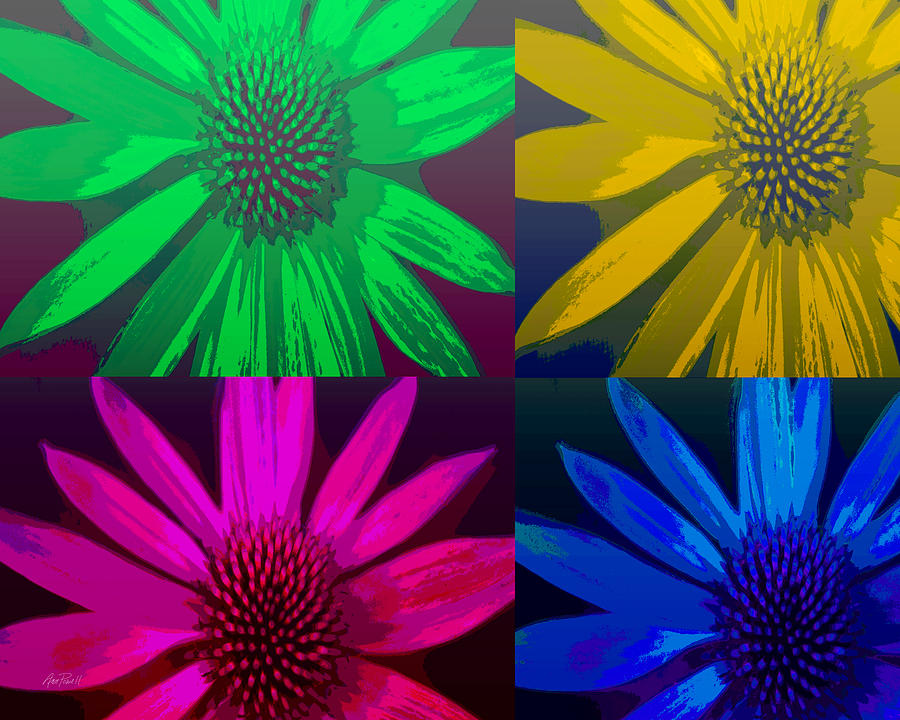 Colorful Pop  Art  Flowers  Digital Art  by Ann Powell