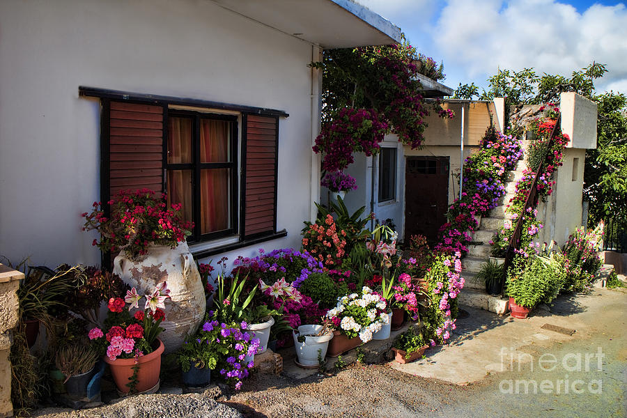 Greek Photograph - Colorful potted flower garden at a rural home in Crete by David Smith