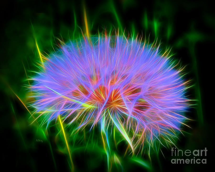 Colorful Puffball Photograph by Patrick Witz