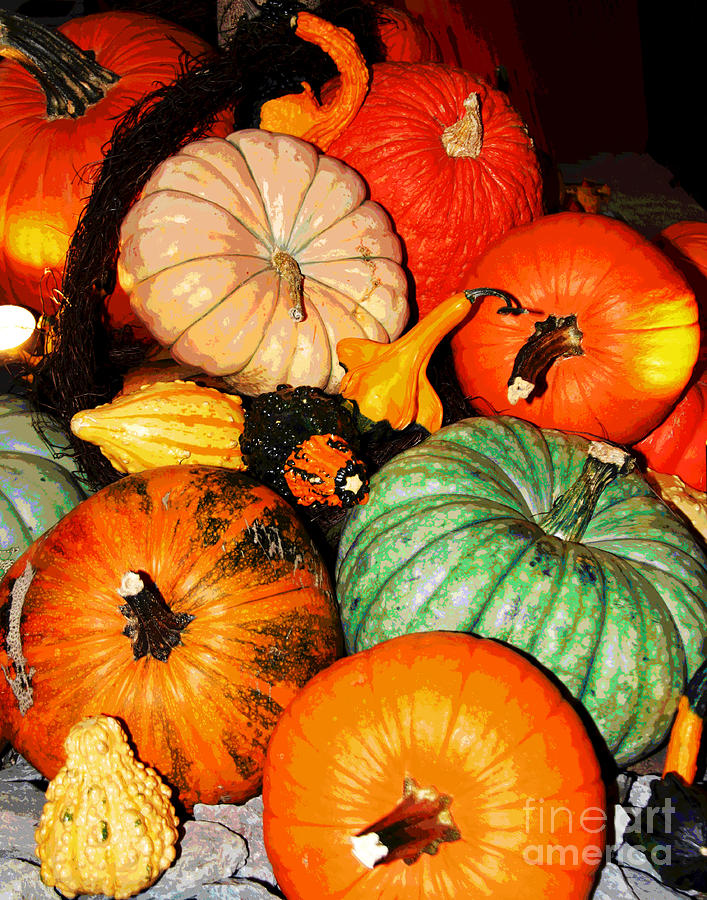 Colorful Pumpkins Photograph by Larry Oskin