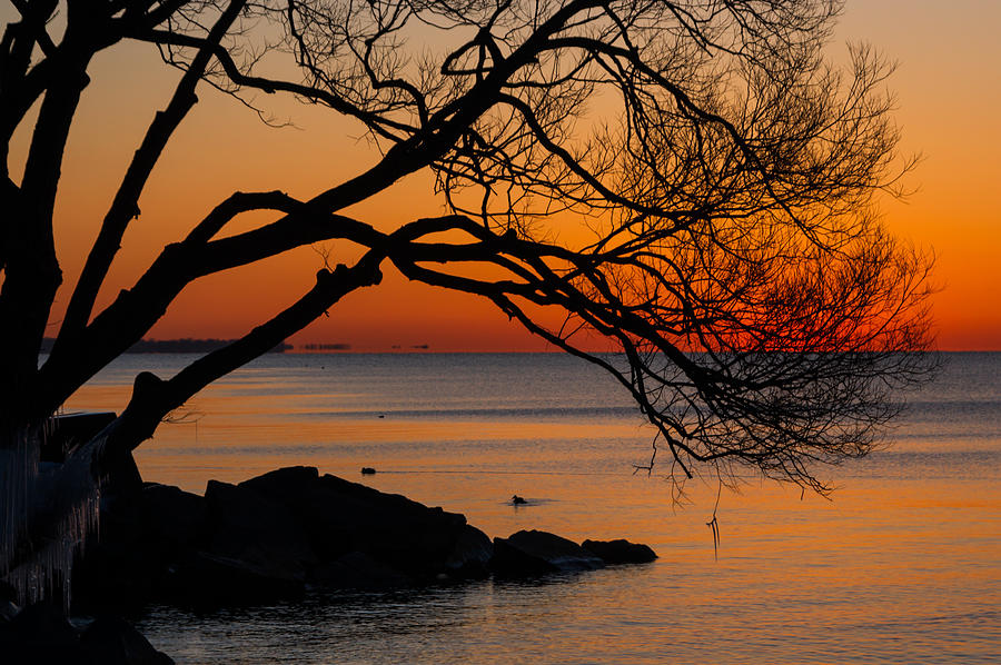 Colorful Quiet Sunrise on Lake Ontario in Toronto Photograph by Georgia Mizuleva