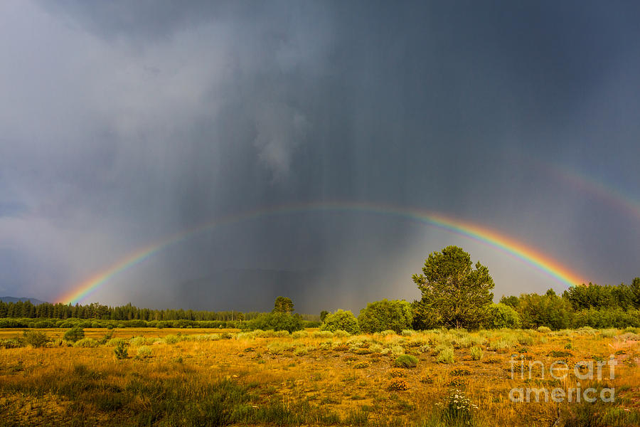 Colorful Rain Photograph by Mitch Shindelbower