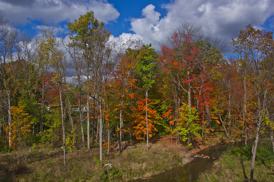Nature Photograph - Colorful Ravine A Wider Angle by Bill Woodstock