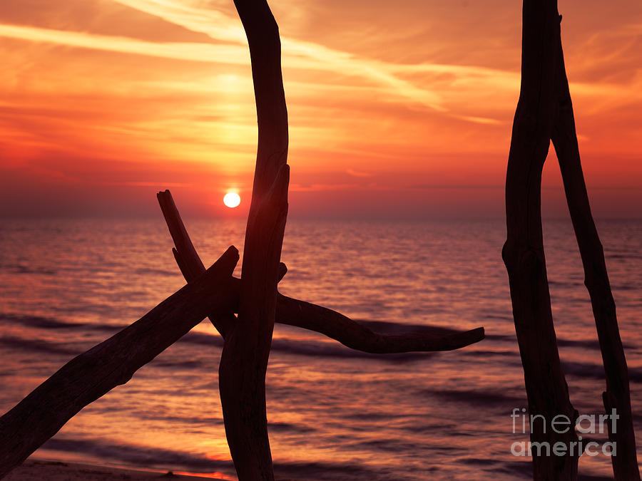 Colorful red sunset behind driftwood sculpture Photograph by Maxim Images Exquisite Prints