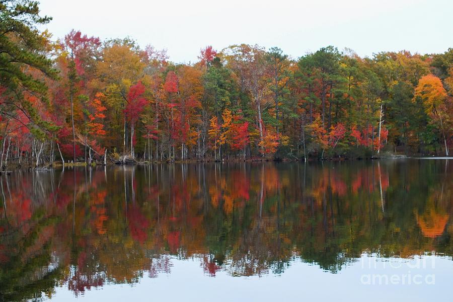 Colorful Reflections Photograph by Scott Cameron