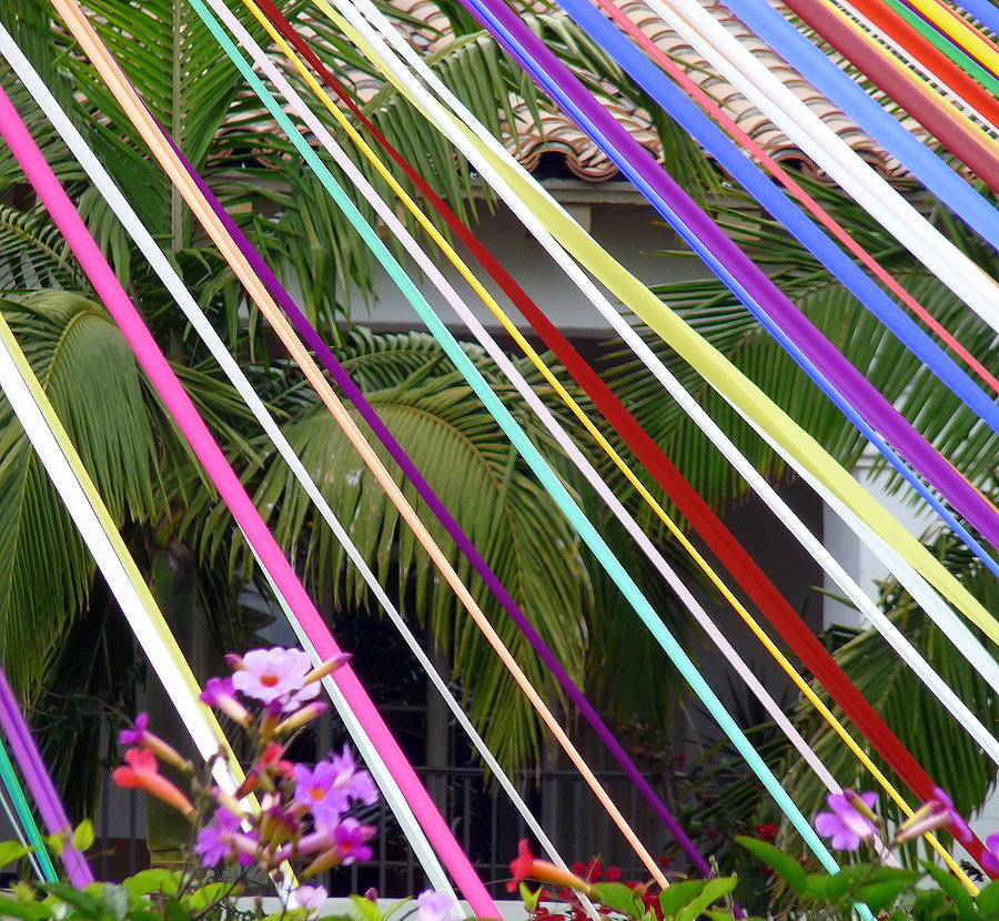 Colorful Ribbons and Palms Photograph by Jeff Lowe