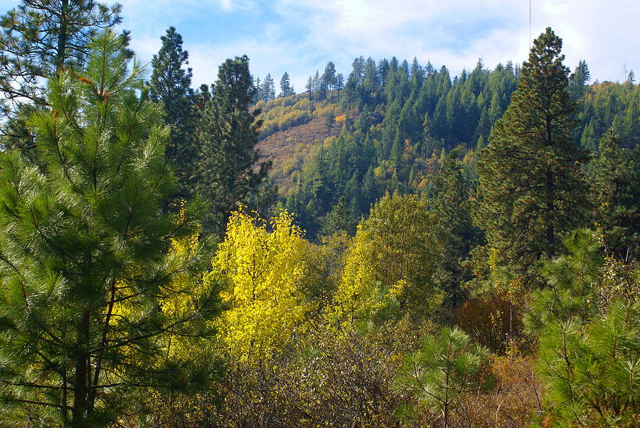 Colorful Ridge in Spokane Photograph by Ben Upham III