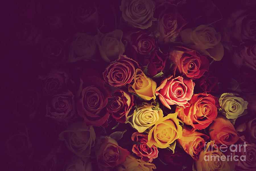 Colorful roses background Photograph by Michal Bednarek