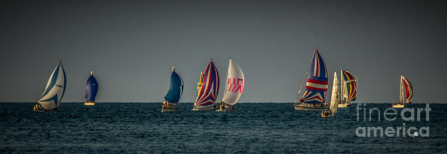 Colorful Sailboats Photograph by Ronald Grogan