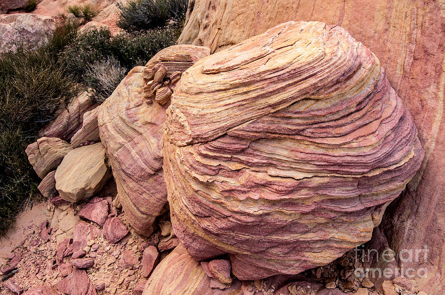 Colorful Sandstone Boulder - Valley Of Fire - Nevada Photograph