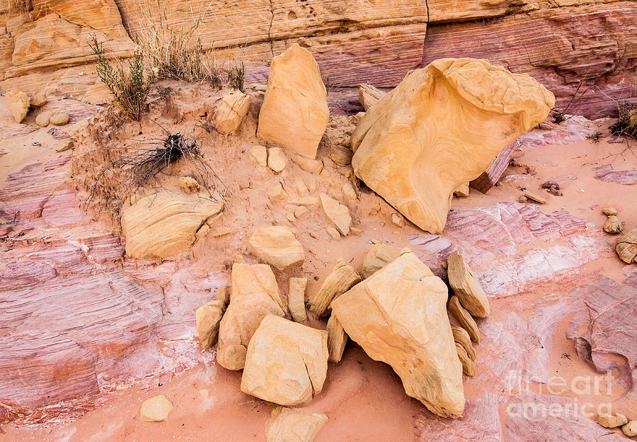 Colorful Sandstone Rocks - Valley Of Fire - Nevada Photograph