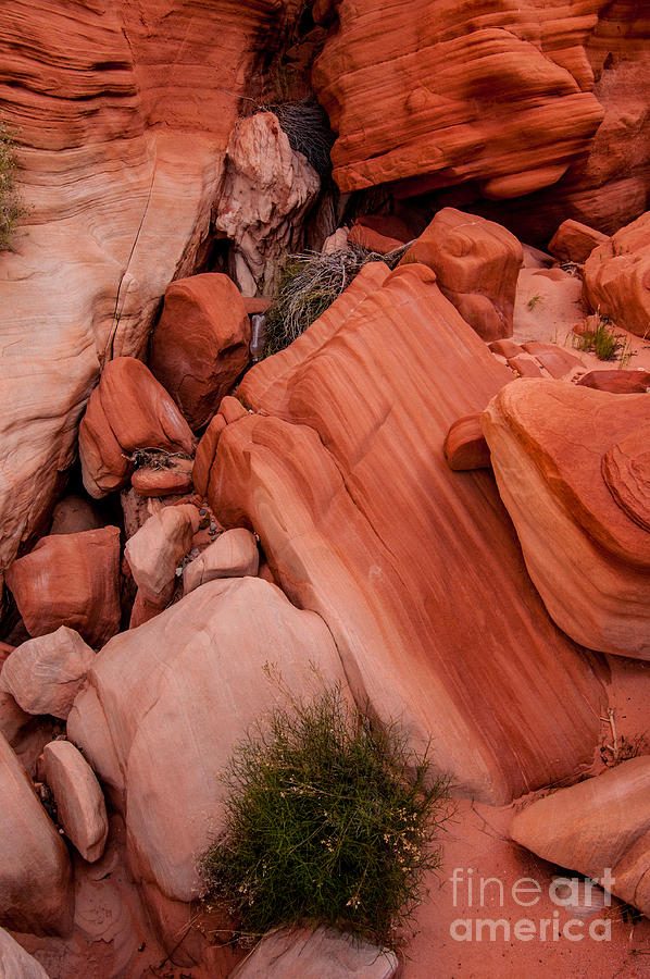 Colorful Sandstone Wash - Valley Of Fire - Nevada Photograph