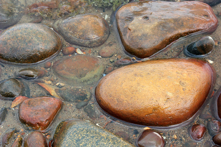 Colorful Shore Rocks 9 Photograph by Mary Bedy