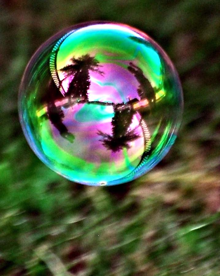 Nature Photograph - Colorful soap bubble by Don Mann