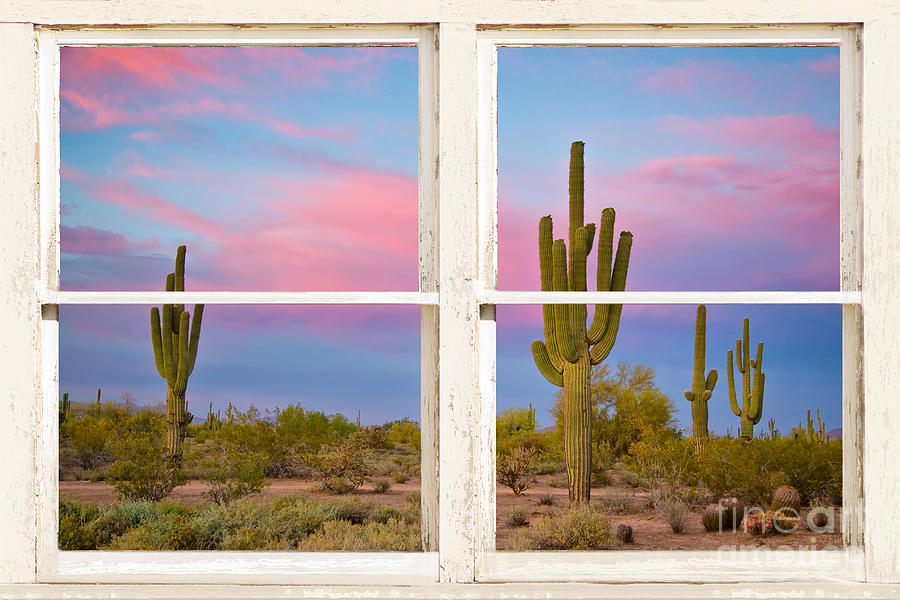 Landscape Photograph - Colorful Southwest Desert Window Art View by James BO Insogna