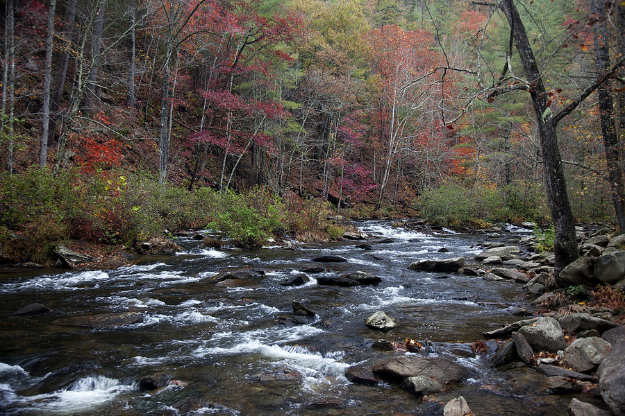 Colorful Stream Photograph by Robert Camp