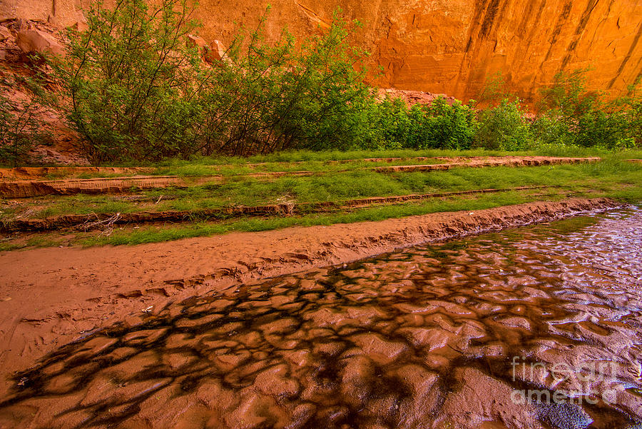 Nature Photograph - Colorful Streambed - Coyote Gulch - Utah by Gary Whitton