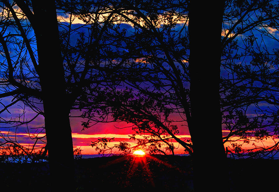 Sunset Photograph - Colorful Sunset by David M Jones