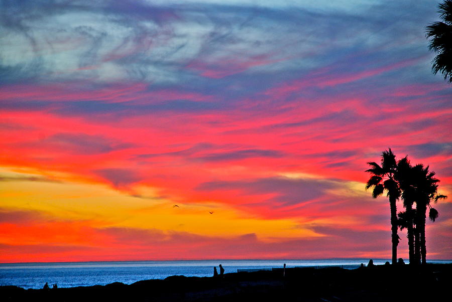 Colorful Sunset Photograph by Liz Vernand